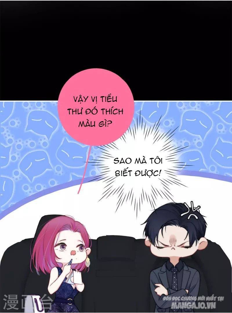 Kim Ốc Tàng Kiều Chapter 40.6 - Trang 2