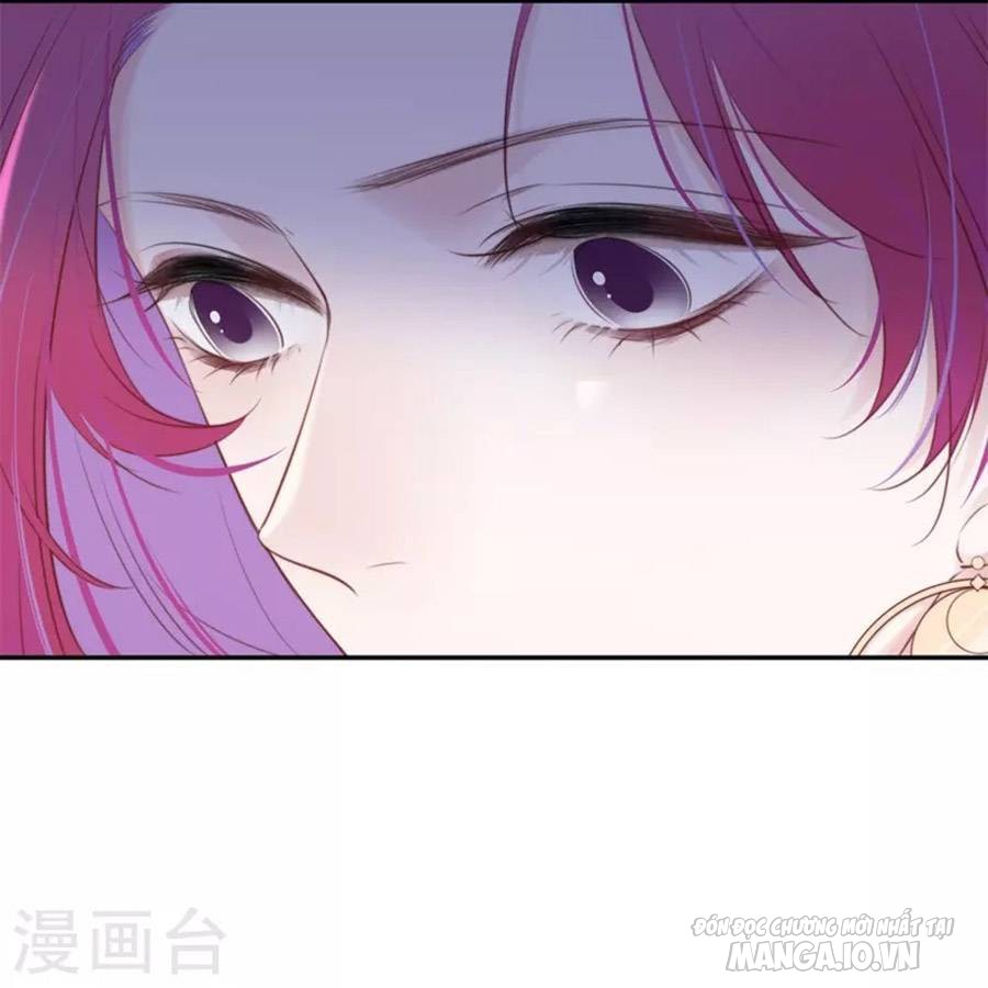 Kim Ốc Tàng Kiều Chapter 34 - Trang 2