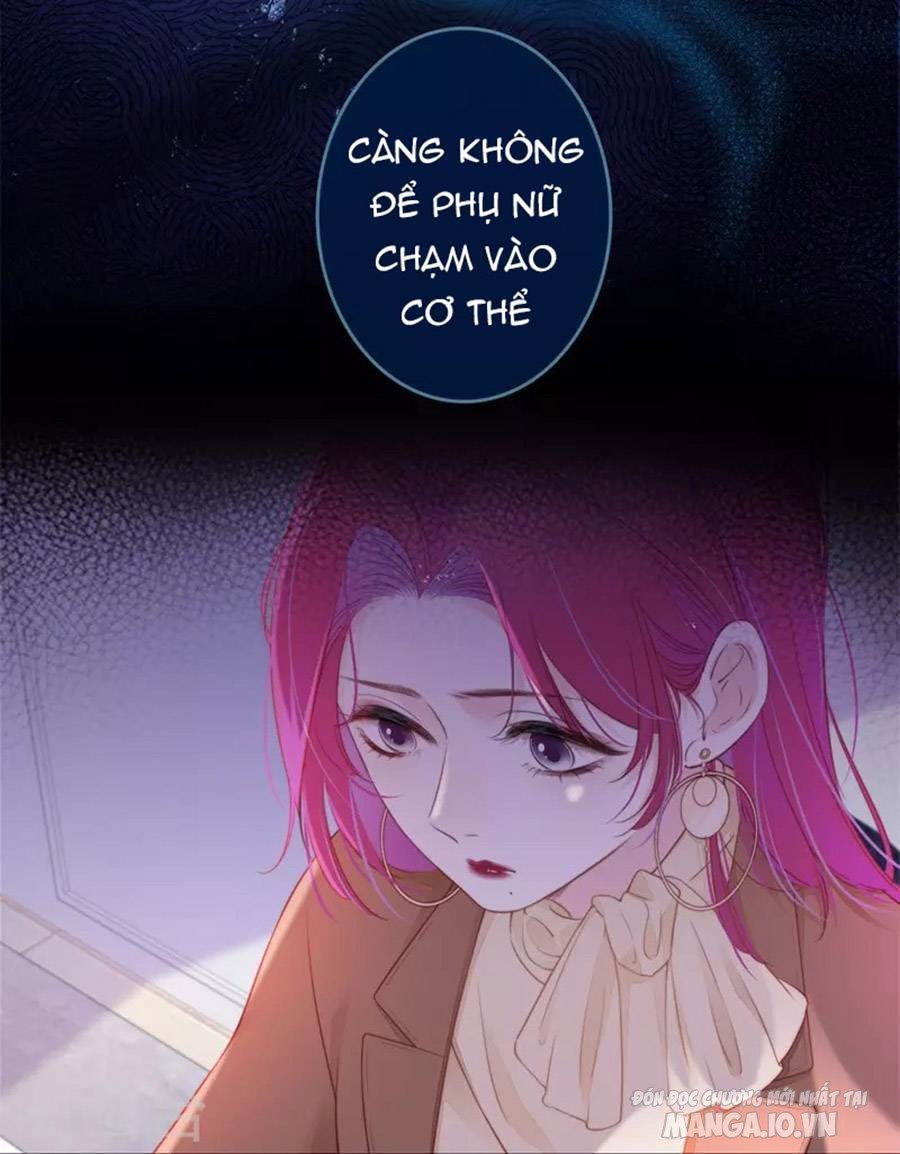 Kim Ốc Tàng Kiều Chapter 34 - Trang 2