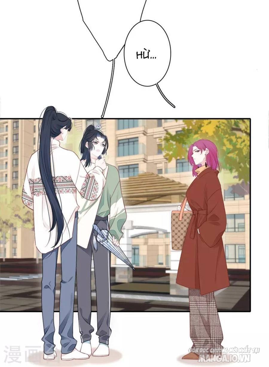 Kim Ốc Tàng Kiều Chapter 34 - Trang 2