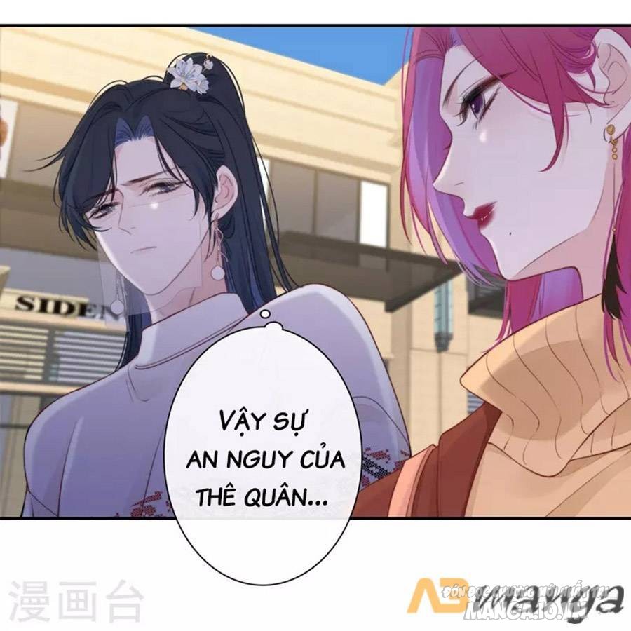 Kim Ốc Tàng Kiều Chapter 34 - Trang 2