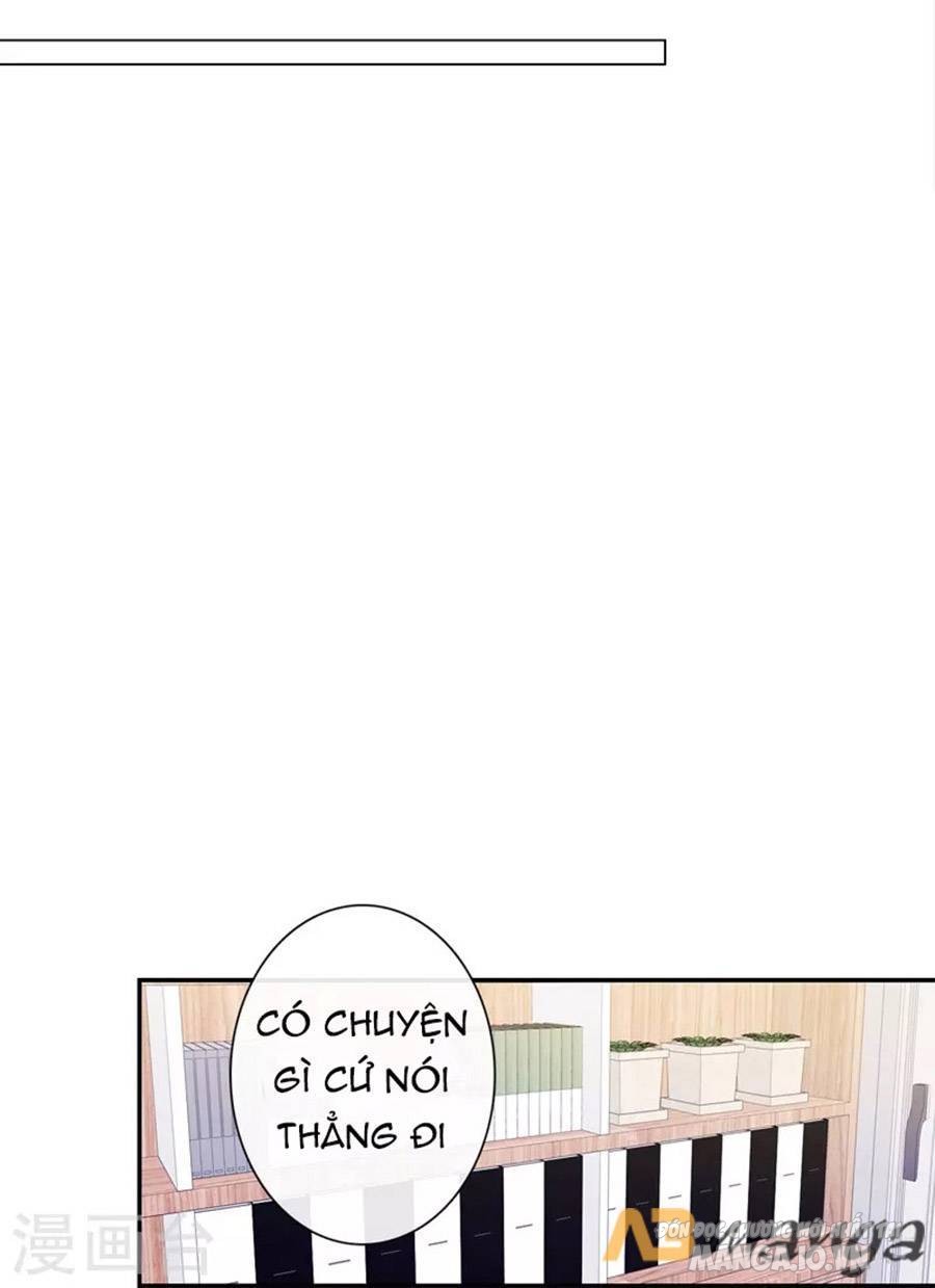 Kim Ốc Tàng Kiều Chapter 34 - Trang 2