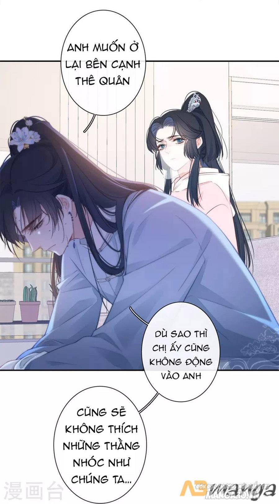 Kim Ốc Tàng Kiều Chapter 34 - Trang 2