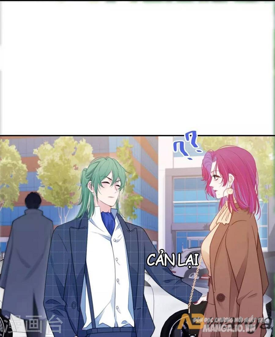 Kim Ốc Tàng Kiều Chapter 33 - Trang 2