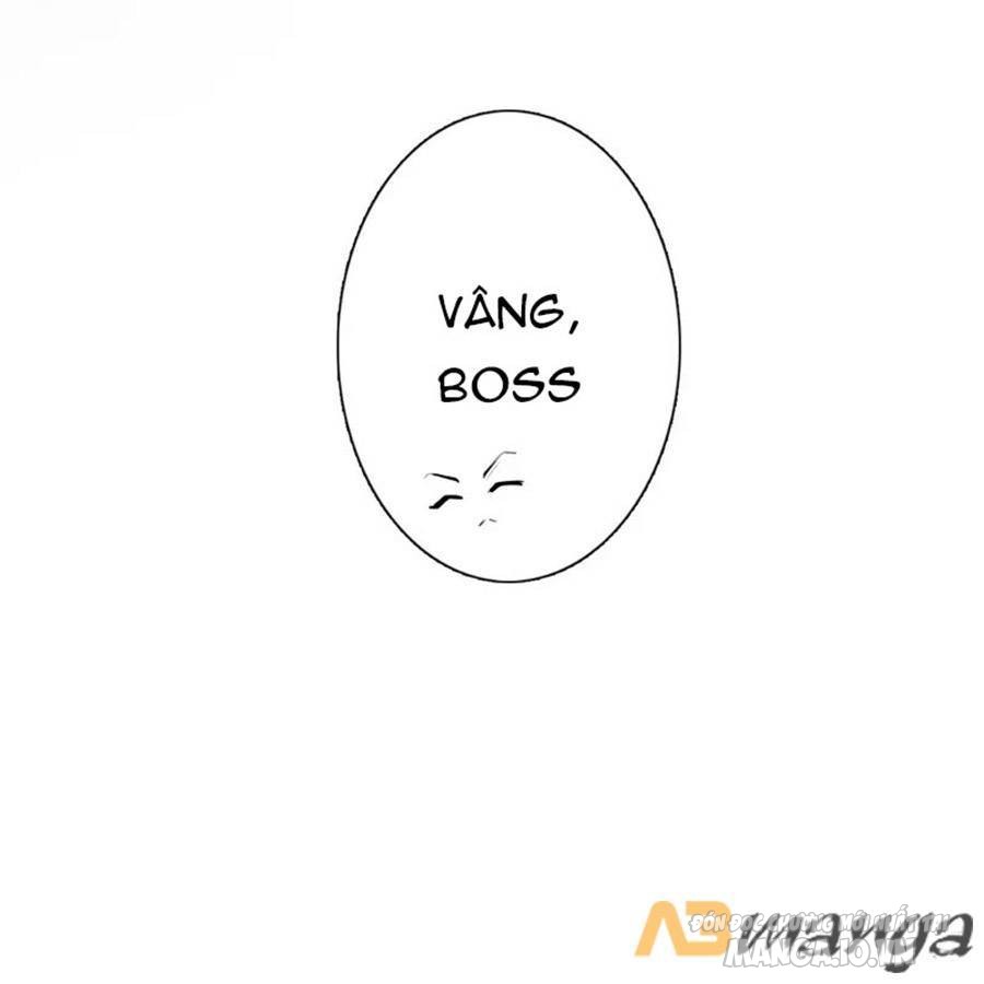 Kim Ốc Tàng Kiều Chapter 33 - Trang 2