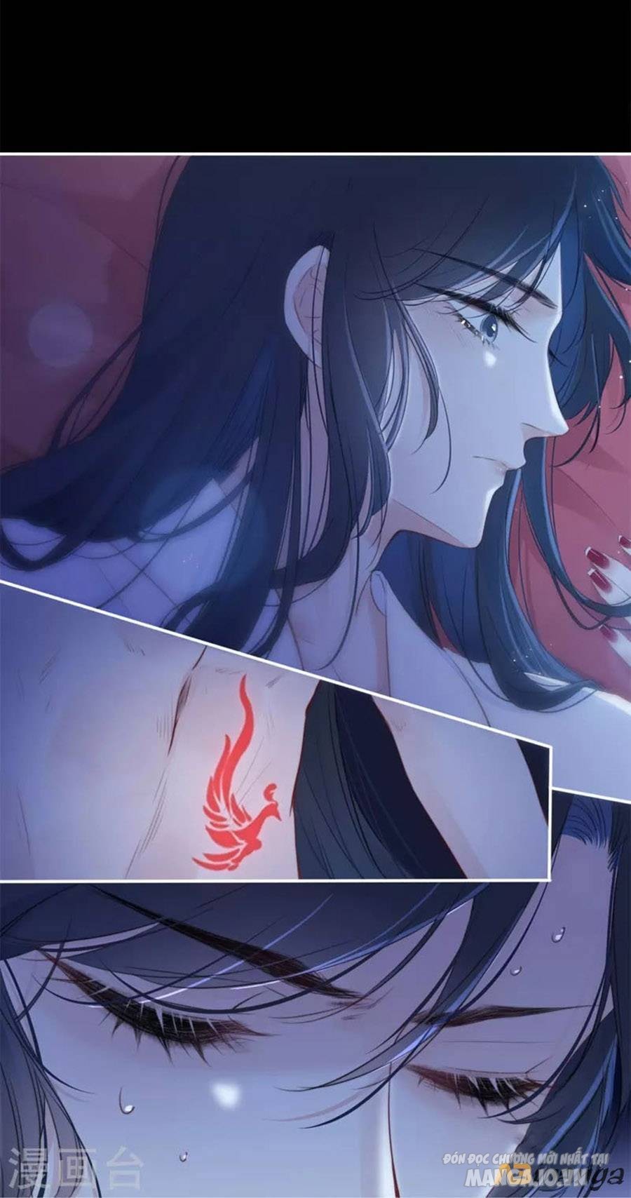 Kim Ốc Tàng Kiều Chapter 32 - Trang 2