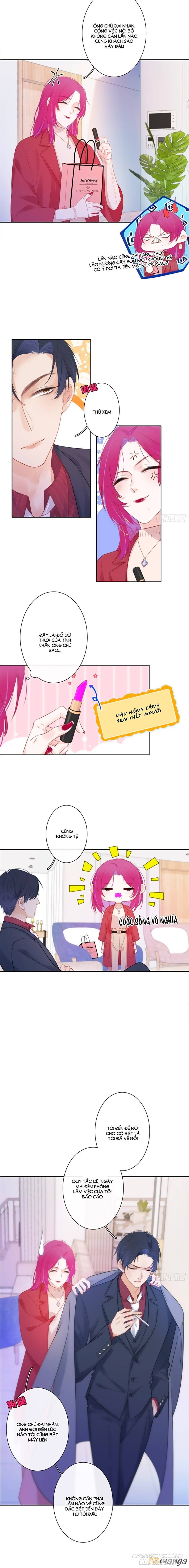 Kim Ốc Tàng Kiều Chapter 29 - Trang 2