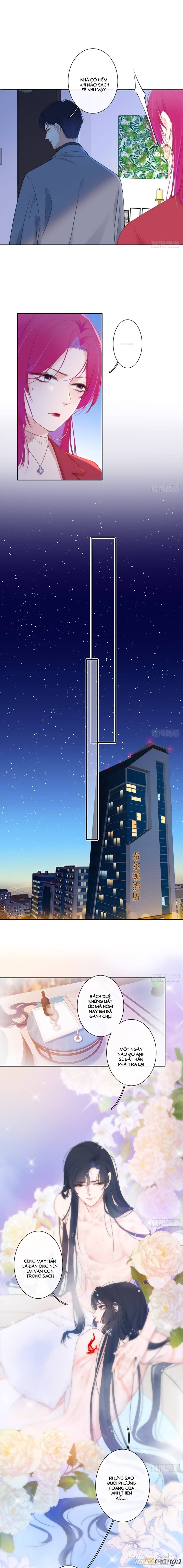 Kim Ốc Tàng Kiều Chapter 29 - Trang 2