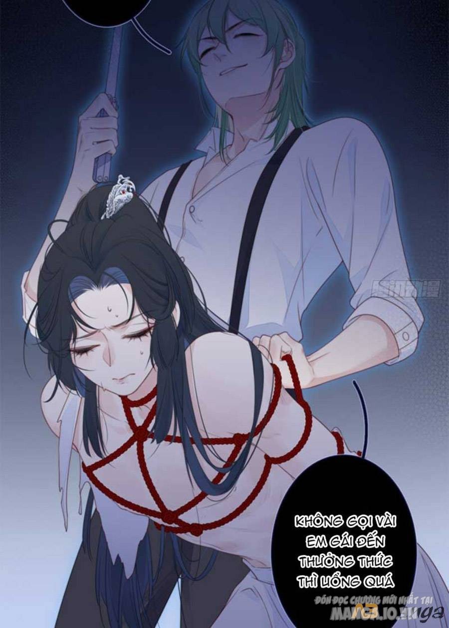 Kim Ốc Tàng Kiều Chapter 27 - Trang 2