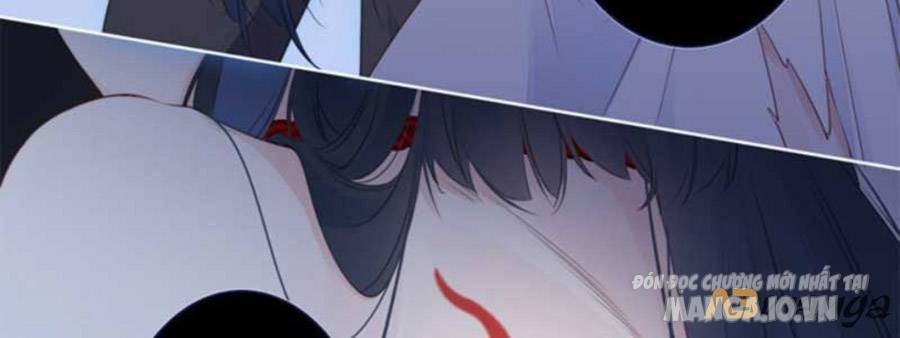 Kim Ốc Tàng Kiều Chapter 27 - Trang 2