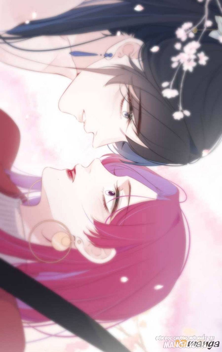 Kim Ốc Tàng Kiều Chapter 27 - Trang 2