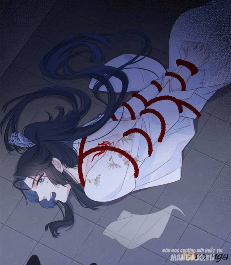 Kim Ốc Tàng Kiều Chapter 27 - Trang 2