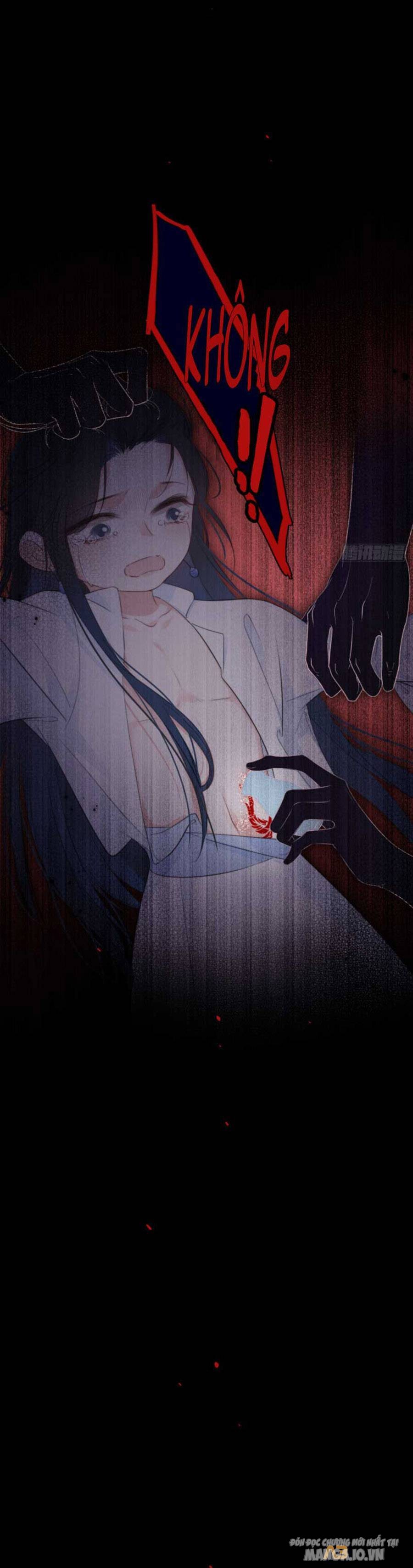 Kim Ốc Tàng Kiều Chapter 24 - Trang 2