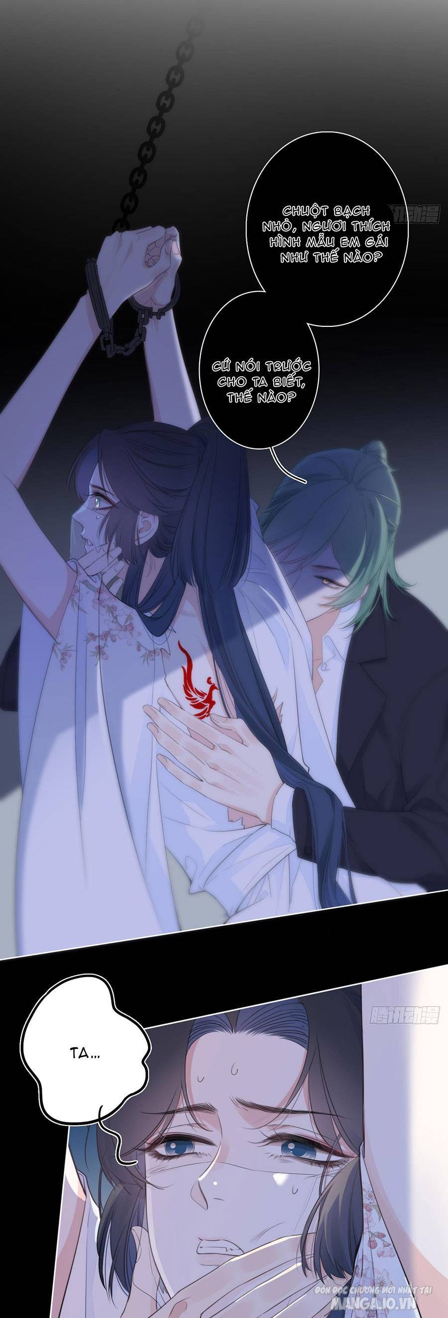 Kim Ốc Tàng Kiều Chapter 23 - Trang 2