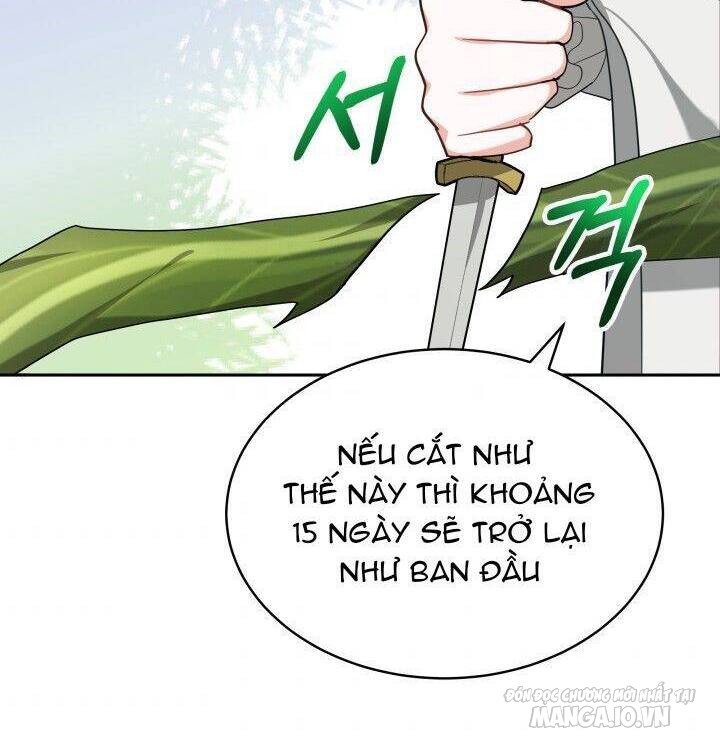 Nam Chính Là Chồng Cũ Của Tôi Chapter 16 - Trang 2