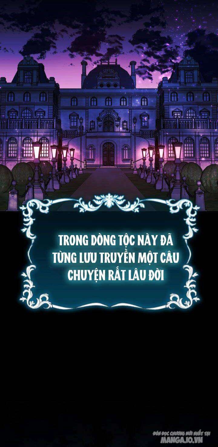 Nam Chính Là Chồng Cũ Của Tôi Chapter 14 - Trang 2