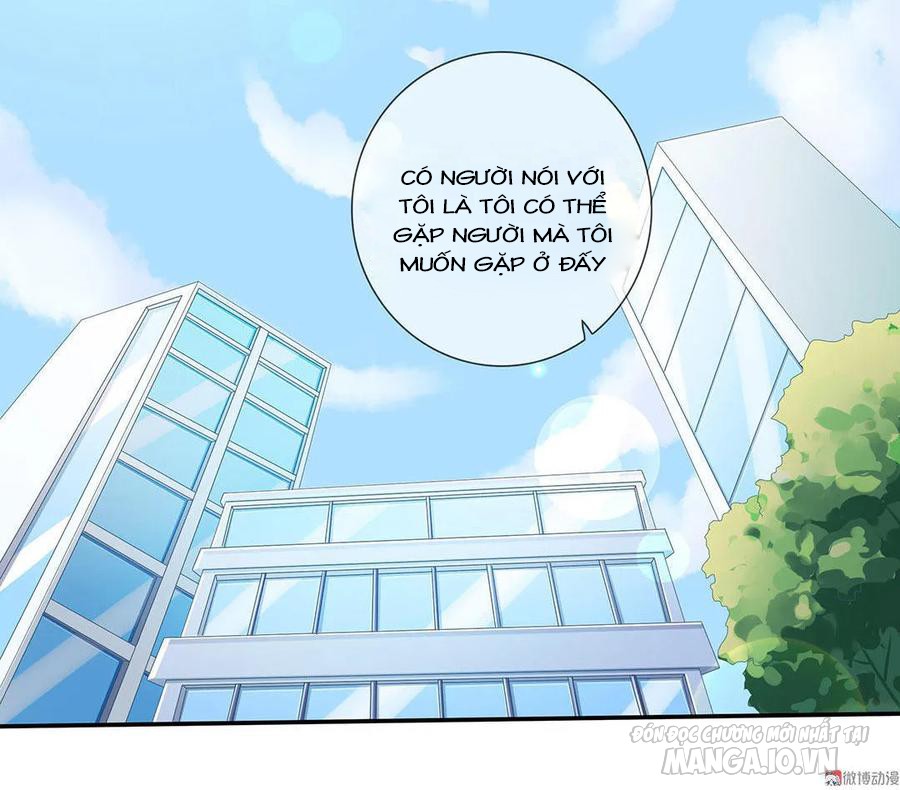 Tổng Tài! Đừng Trả Hàng Nha! Chapter 75 - Trang 2