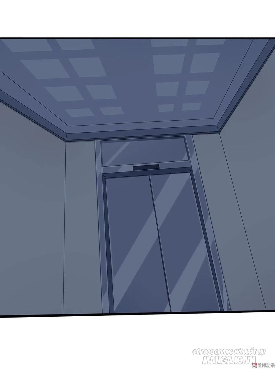 Tổng Tài! Đừng Trả Hàng Nha! Chapter 72 - Trang 2