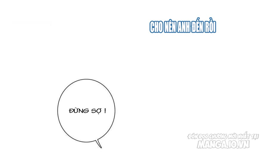 Tổng Tài! Đừng Trả Hàng Nha! Chapter 71 - Trang 2