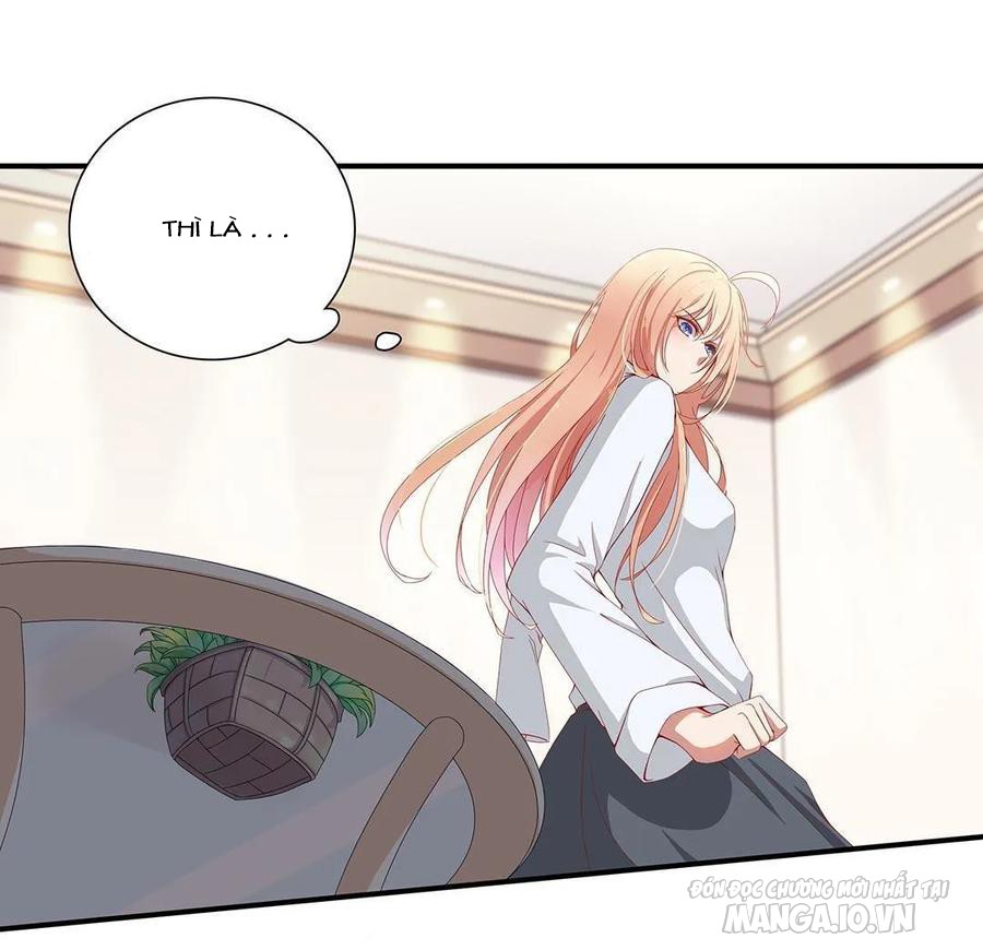 Tổng Tài! Đừng Trả Hàng Nha! Chapter 70 - Trang 2