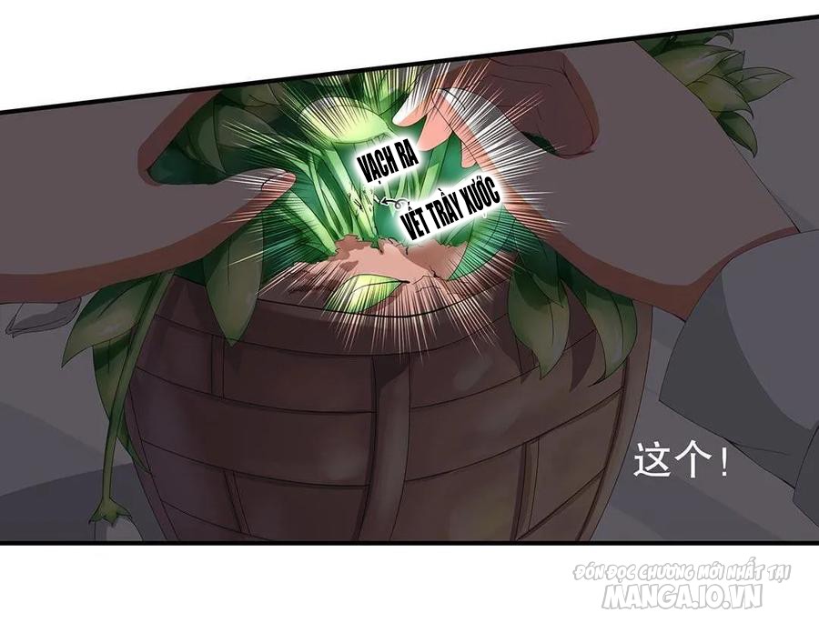 Tổng Tài! Đừng Trả Hàng Nha! Chapter 70 - Trang 2