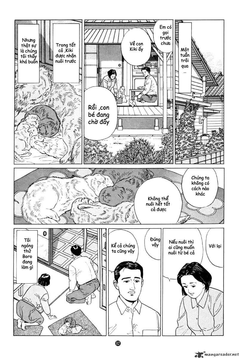 Inu Wo Kau Chapter 3 - Trang 2