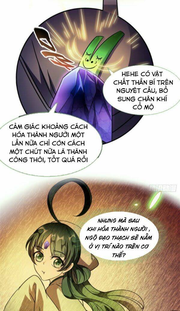 Tu Chân Nói Chuyện Phiếm Quần Chapter 304 - Trang 2