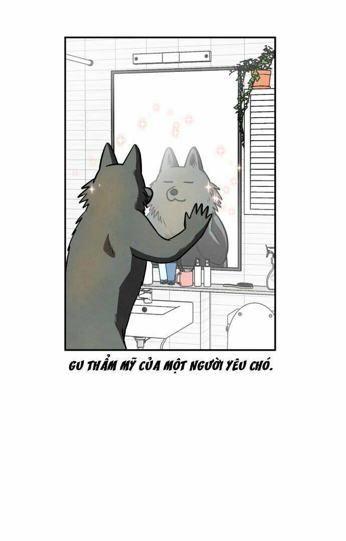 Nàng Chó Sói Và Chiếc Khăn Choàng Đỏ Chapter 38 - Trang 2