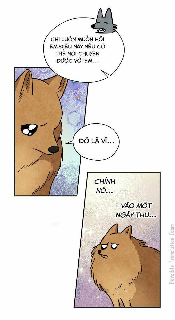 Nàng Chó Sói Và Chiếc Khăn Choàng Đỏ Chapter 31 - Trang 2