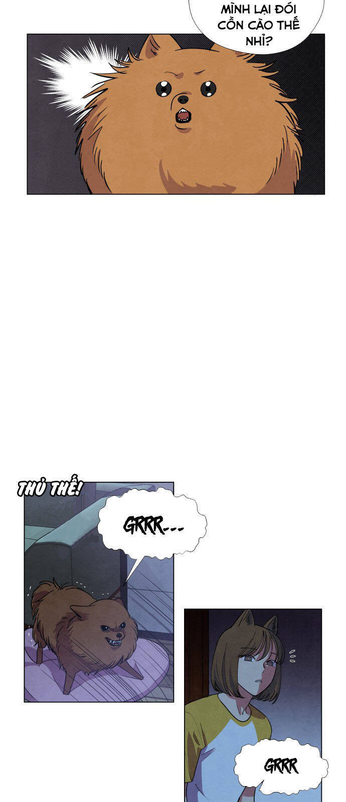 Nàng Chó Sói Và Chiếc Khăn Choàng Đỏ Chapter 5 - Trang 2