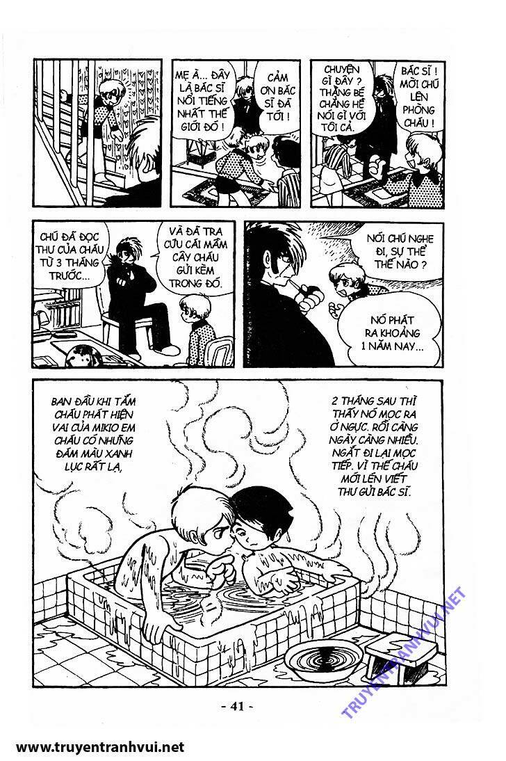 Black Jack Chapter 211 - Trang 2