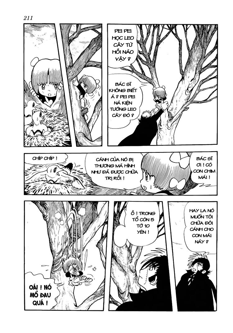 Black Jack Chapter 19 - Trang 2