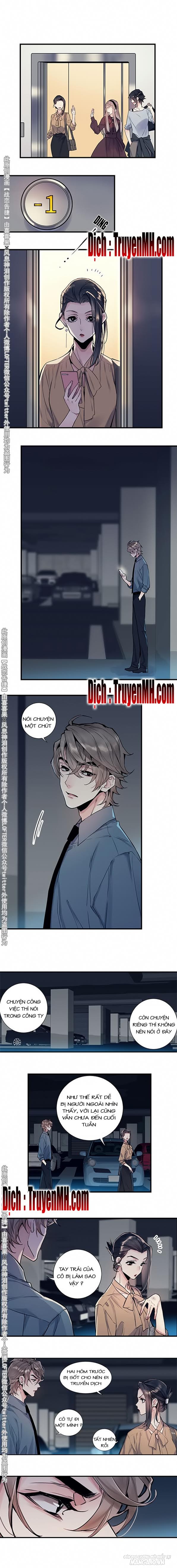 Chiến Luyến Cáo Tiệp Chapter 16 - Trang 2