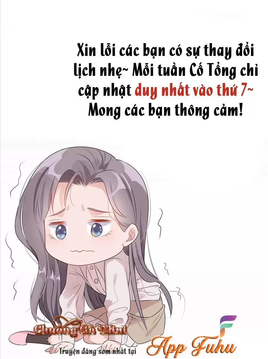 Cố Tổng, Vợ Của Ngài Quá Mạnh Rồi! Chapter 86 - Trang 2