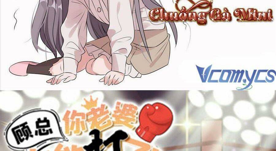 Cố Tổng, Vợ Của Ngài Quá Mạnh Rồi! Chapter 66 - Trang 2