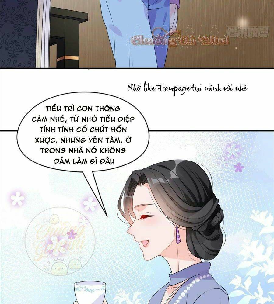 Cố Tổng, Vợ Của Ngài Quá Mạnh Rồi! Chapter 4 - Trang 2