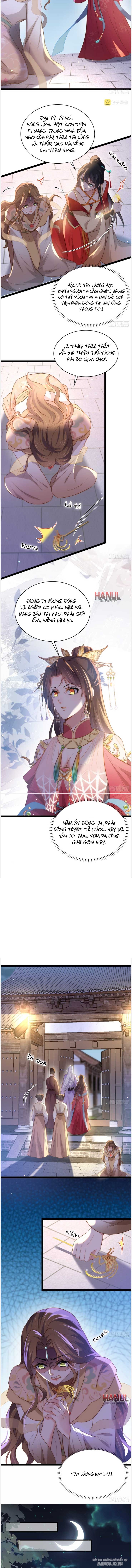 Hoạn Phi Thiên Hạ Chapter 268 - Trang 2