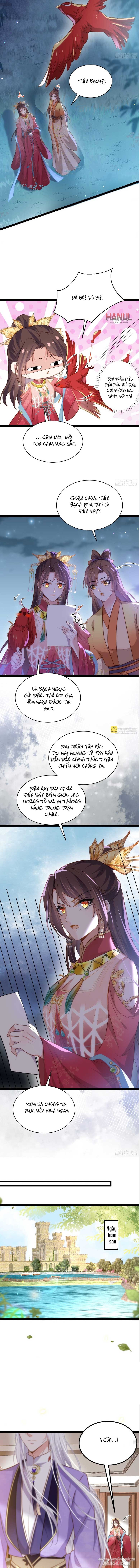 Hoạn Phi Thiên Hạ Chapter 267 - Trang 2