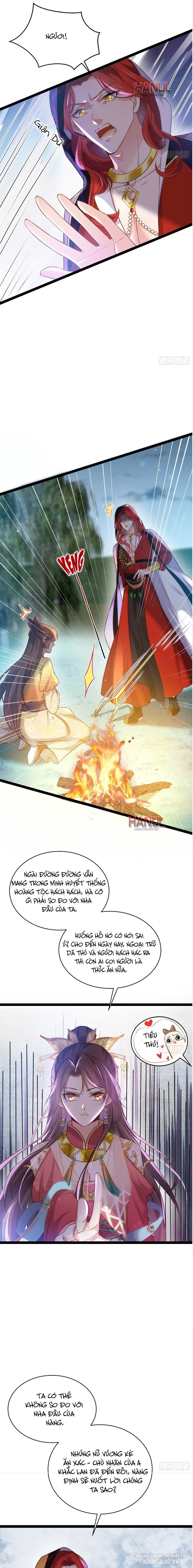 Hoạn Phi Thiên Hạ Chapter 266 - Trang 2