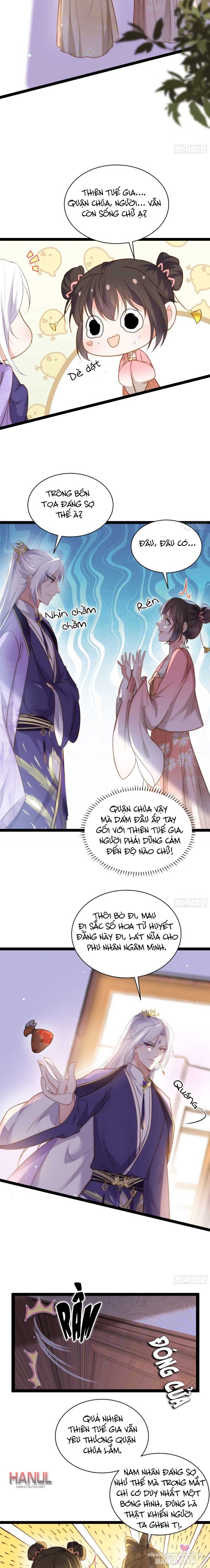 Hoạn Phi Thiên Hạ Chapter 261 - Trang 2