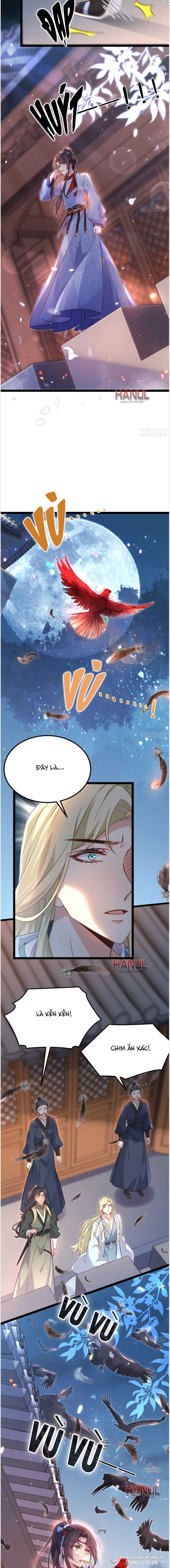 Hoạn Phi Thiên Hạ Chapter 241 - Trang 2