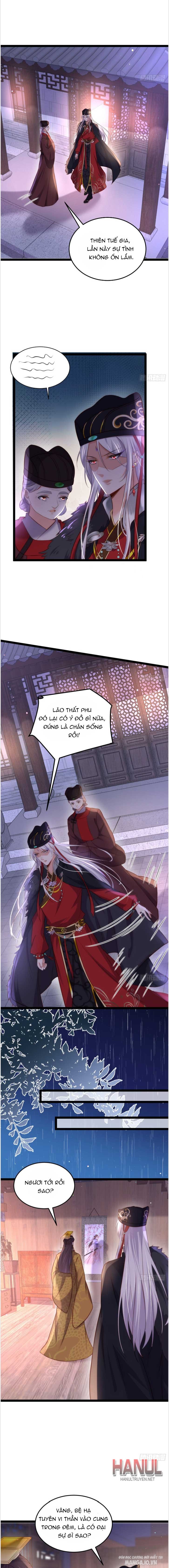 Hoạn Phi Thiên Hạ Chapter 227 - Trang 2