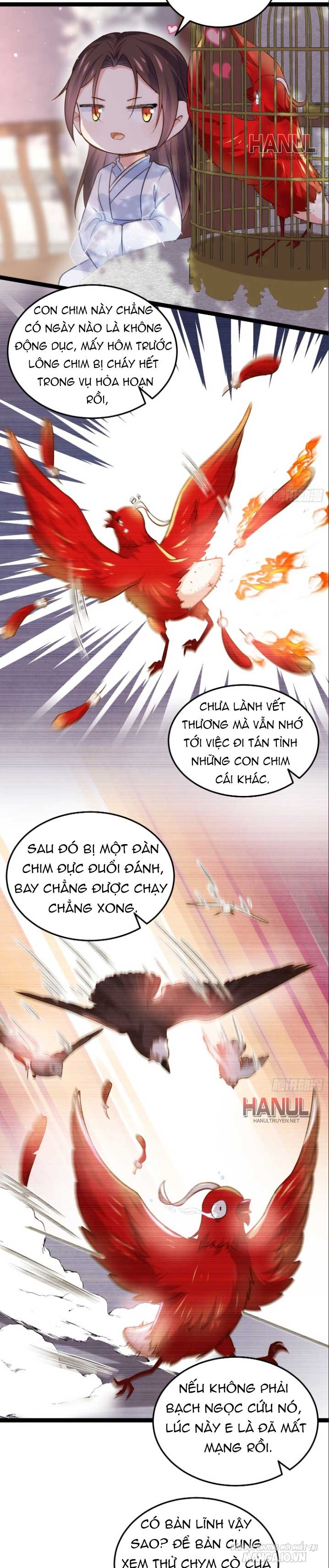 Hoạn Phi Thiên Hạ Chapter 218 - Trang 2