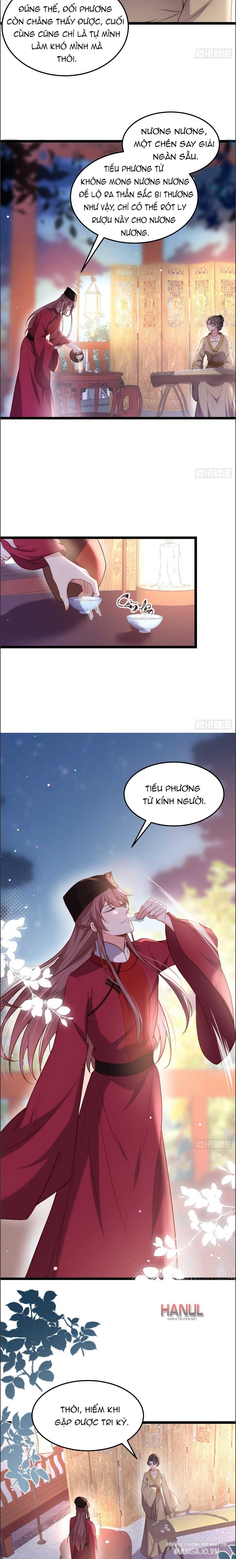 Hoạn Phi Thiên Hạ Chapter 216 - Trang 2