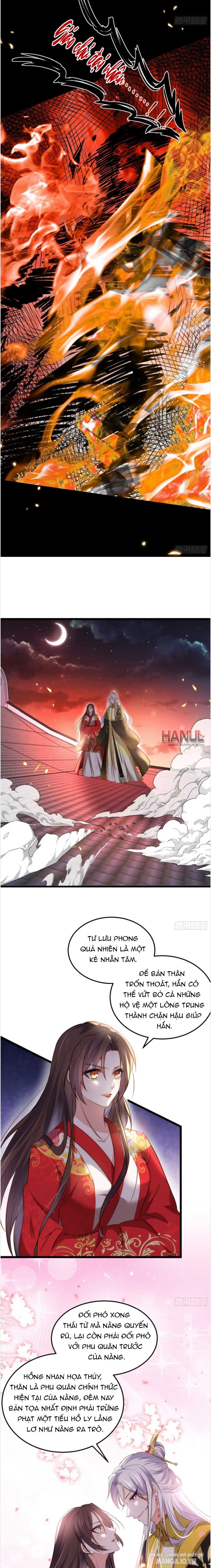 Hoạn Phi Thiên Hạ Chapter 206 - Trang 2