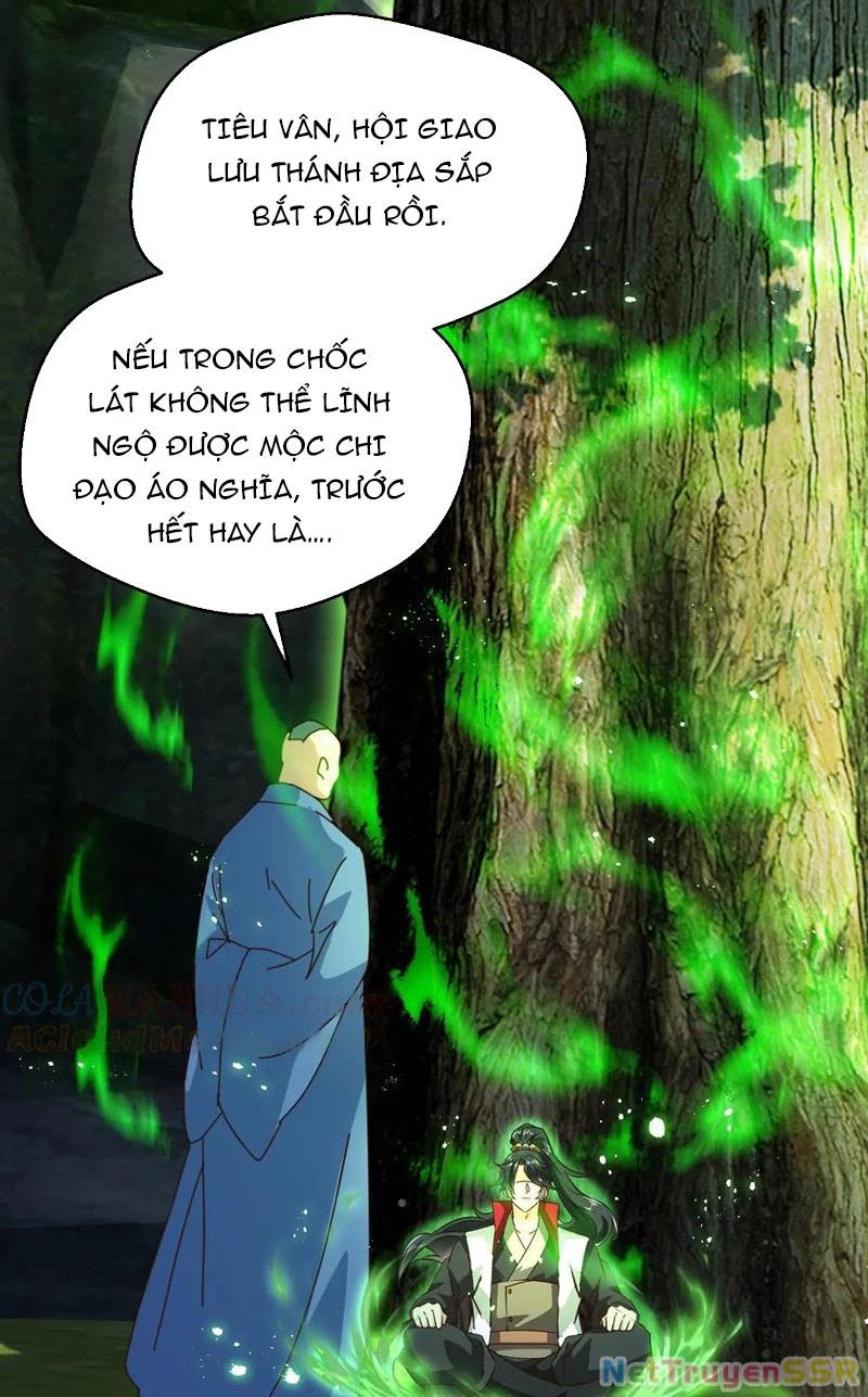 Vô Địch Đốn Ngộ Chapter 265 - Trang 2