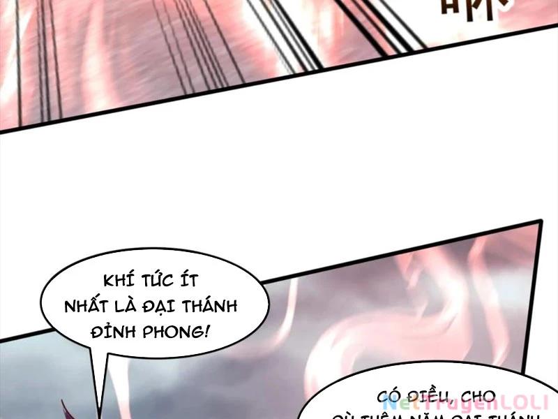 Vô Địch Đốn Ngộ Chapter 216 - Trang 2