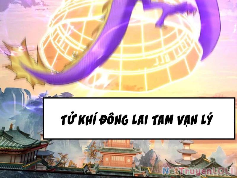 Vô Địch Đốn Ngộ Chapter 205 - Trang 2