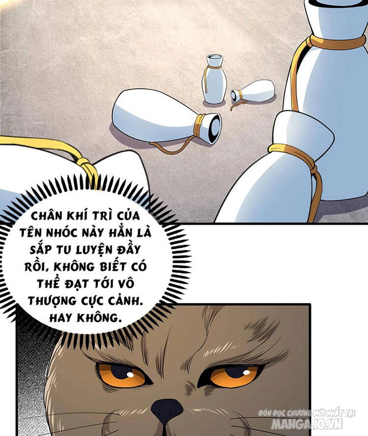 Vạn Cổ Thần Đế Chapter 36 - Trang 2