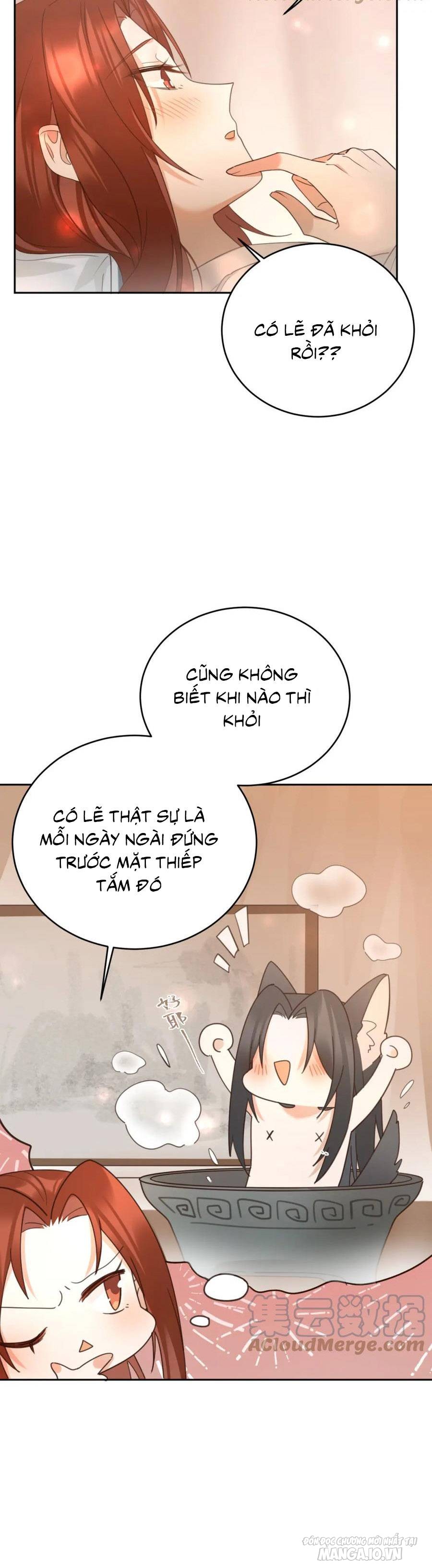 Hoàng Hậu Vô Đức Chapter 83 - Trang 2